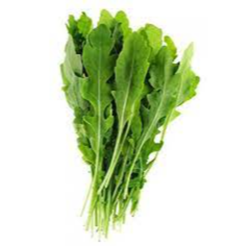 Lettuce Rocket / Argula Main Image